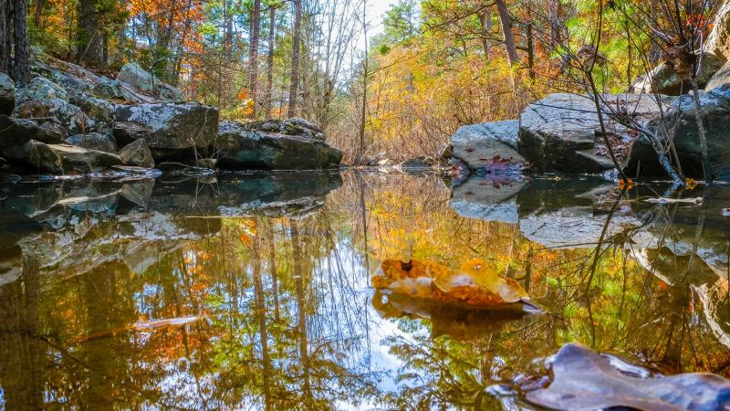 Robbers Cave