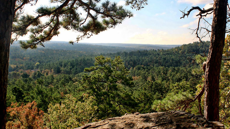 Robbers Cave WMA Portion A