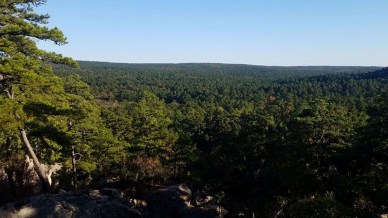 Robbers Cave WMA Portion B