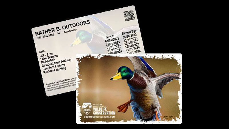 Hunting/Fishing Licenses